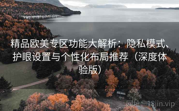 精品欧美专区功能大解析：隐私模式、护眼设置与个性化布局推荐（深度体验版）