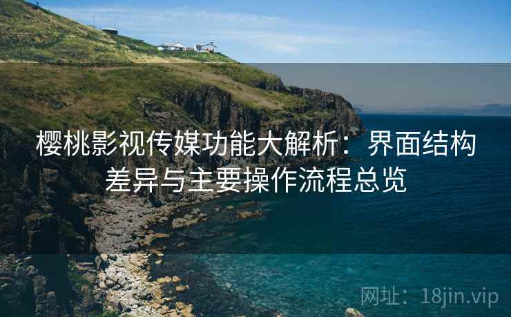 樱桃影视传媒功能大解析：界面结构差异与主要操作流程总览
