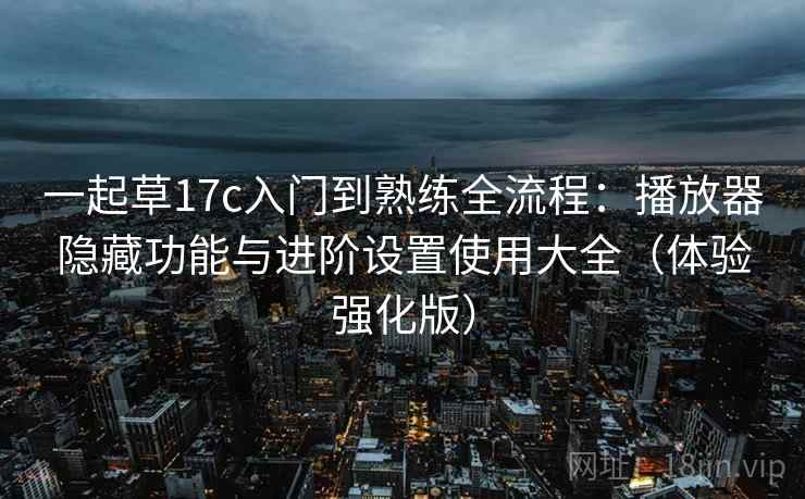 一起草17c入门到熟练全流程：播放器隐藏功能与进阶设置使用大全（体验强化版）
