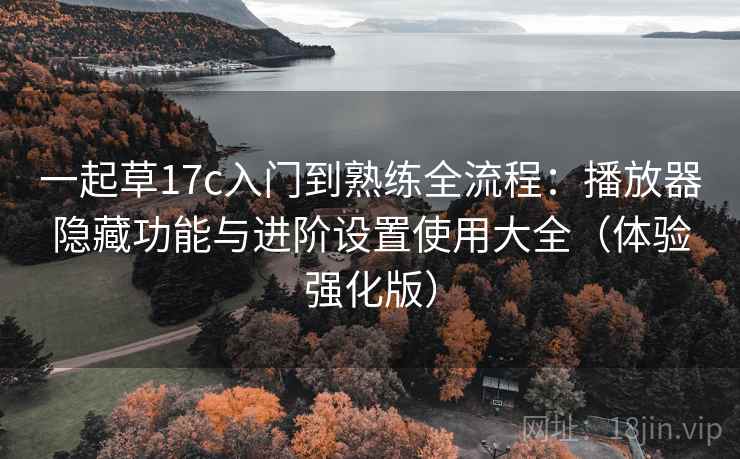 一起草17c入门到熟练全流程：播放器隐藏功能与进阶设置使用大全（体验强化版）