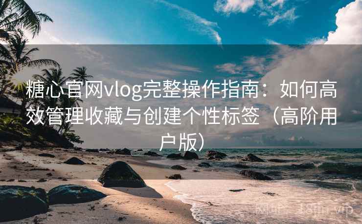 糖心官网vlog完整操作指南：如何高效管理收藏与创建个性标签（高阶用户版）
